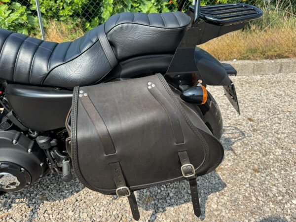 Harley-Davidson Sportster 883 iron 2010 - immagine 12