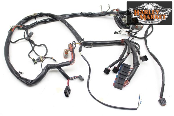 Fuel injection harness Harley Davidson FLHX Street Glide 2012