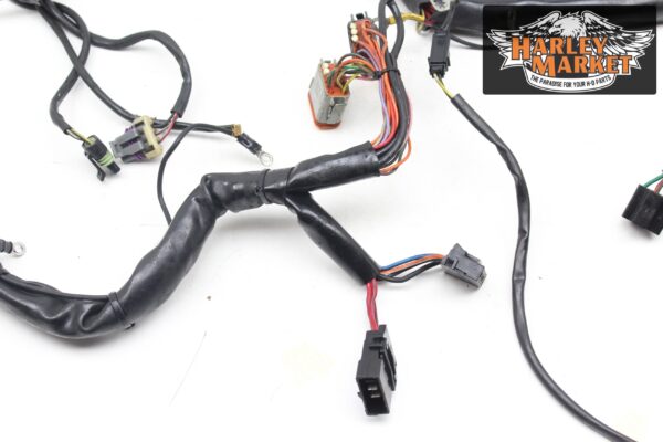 Fuel injection harness Harley Davidson FLHX Street Glide 2012 - Image 2