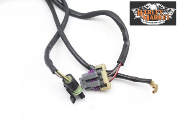 Fuel injection harness Harley Davidson FLHX Street Glide 2012 - Image 3