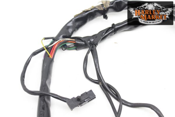 Fuel injection harness Harley Davidson FLHX Street Glide 2012 - Image 4