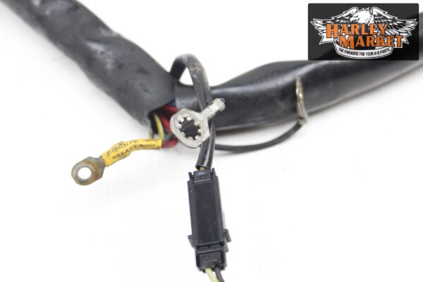 Fuel injection harness Harley Davidson FLHX Street Glide 2012 - Image 5