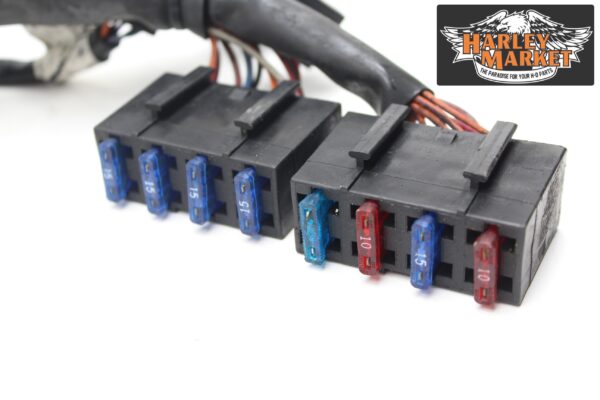 Fuel injection harness Harley Davidson FLHX Street Glide 2012 - Image 7
