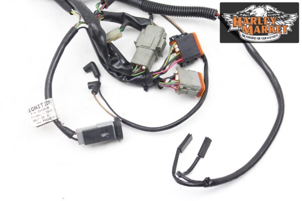 Fuel injection harness Harley Davidson FLHX Street Glide 2012 - Image 8
