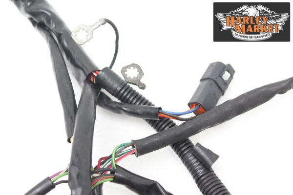 Fuel injection harness Harley Davidson FLHX Street Glide 2012 - Image 9