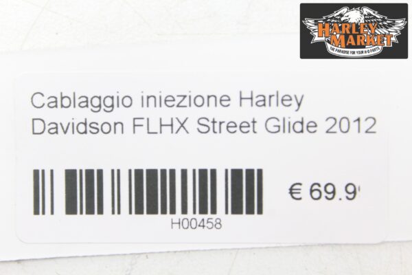 Fuel injection harness Harley Davidson FLHX Street Glide 2012 - Image 11