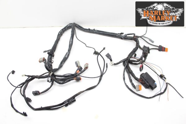 HarleyDavidson FLHTCI Electra Glide Classic MY2004 Wiring Harness - Image 2