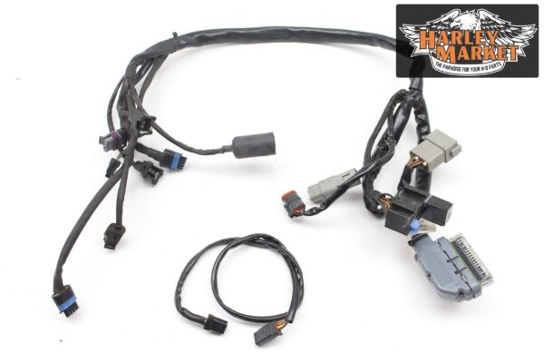 HarleyDavidson FLHTCI Electra Glide Classic MY2004 Wiring Harness - Image 10