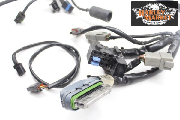 HarleyDavidson FLHTCI Electra Glide Classic MY2004 Wiring Harness - Image 12