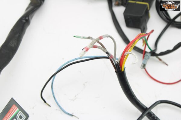 impianto elettrico semplificato Harley davidson sportster - immagine 5