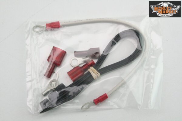 Modulo accensione Screamin' Eagle D2KI1P Harley Davidson 70-98 EVO - immagine 2